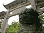 九龙湖风景区